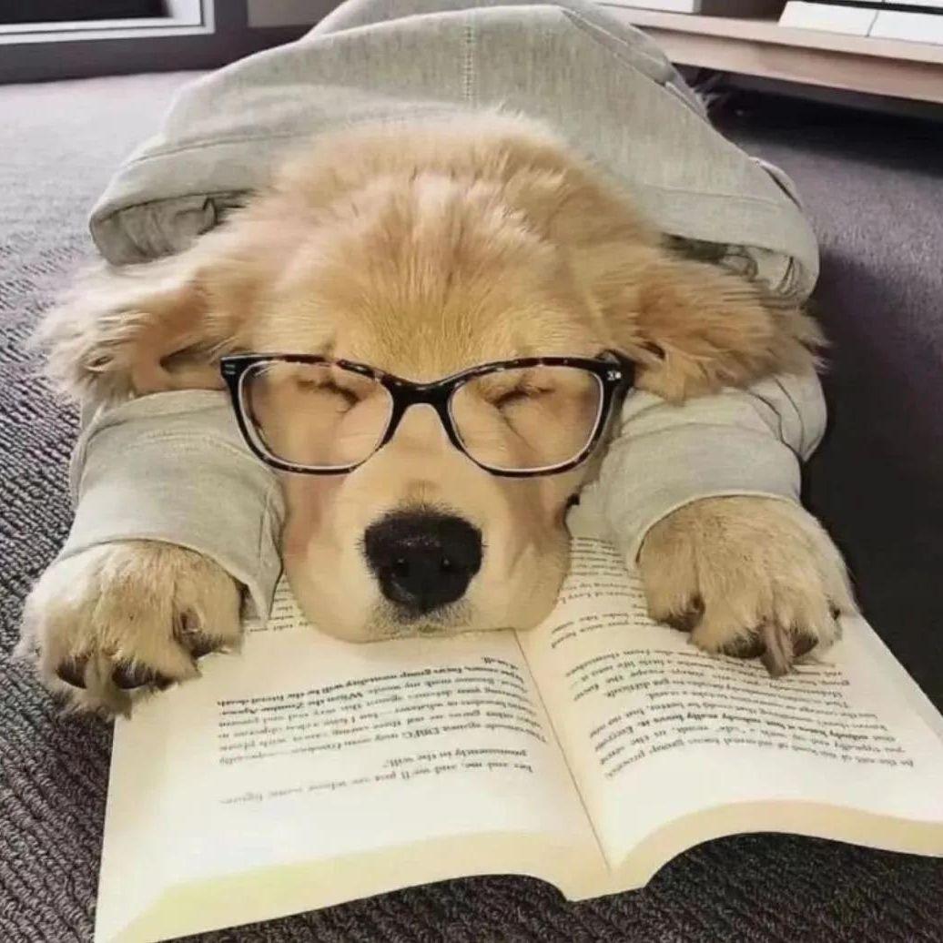 空位嘉宾(翻唱黄逸伦)