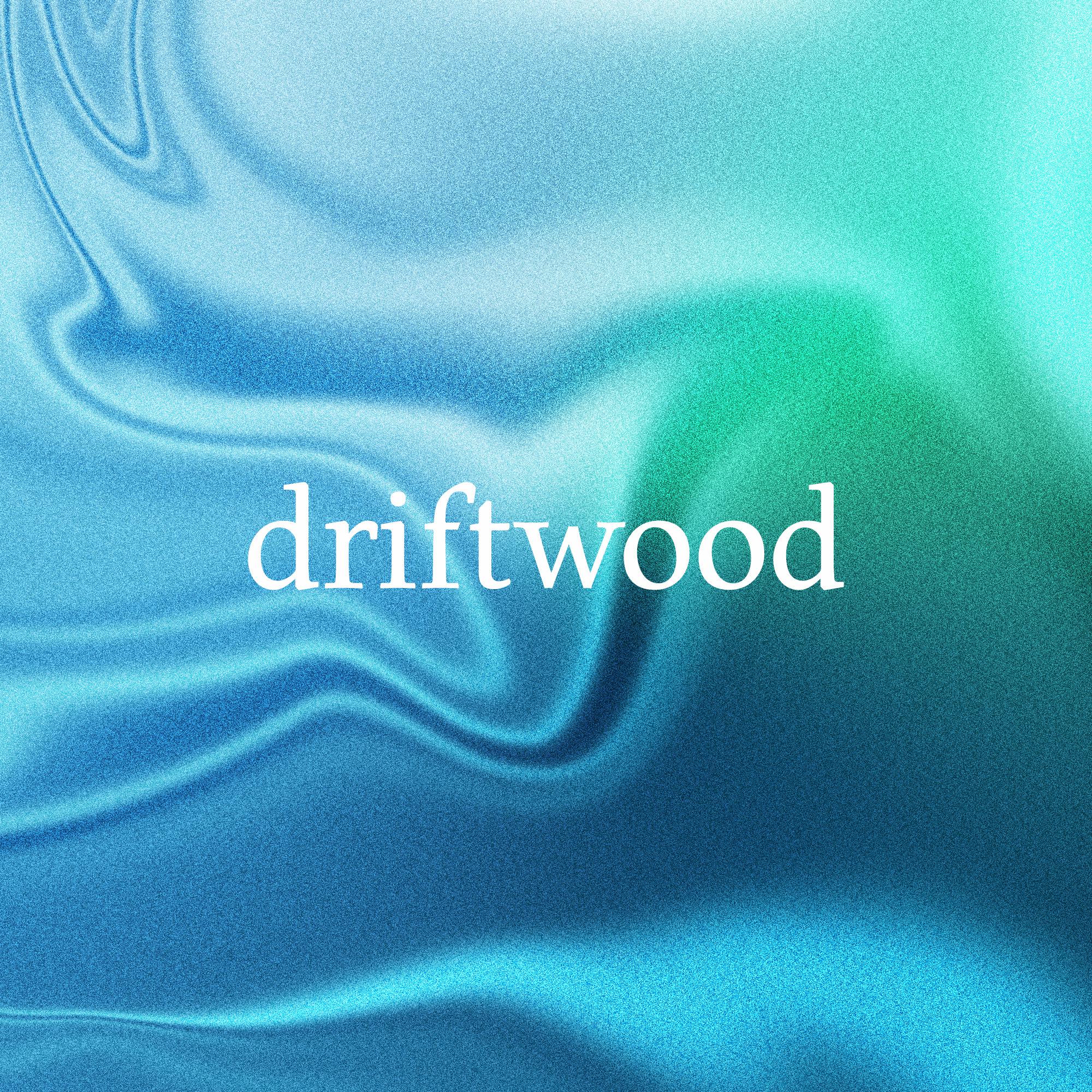 Driftwood - monterey (ocean)
