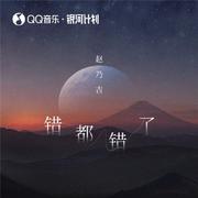 错都错了