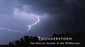 Echoes of Nature: Thunderstorm专辑