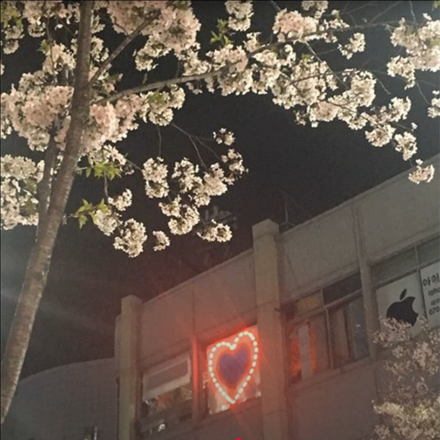 爱的方程式