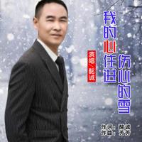 王庆安、芳芳 - 我的心住进伤心的雪