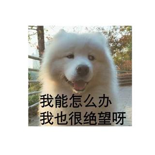 给你最好听的华语流行情歌