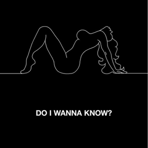 Do I Wanna Know - Arctic Monkeys (HT Instrumental) 无和声伴奏 （升1半音）