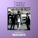 complete of WANDS at the BEING studio专辑
