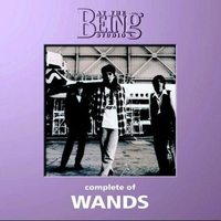 wands - 直到世界终结[灌蓝高手片尾曲]（有和声，原版音质）