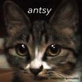 antsy