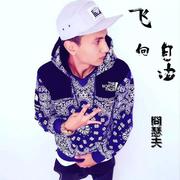 飞向自由 