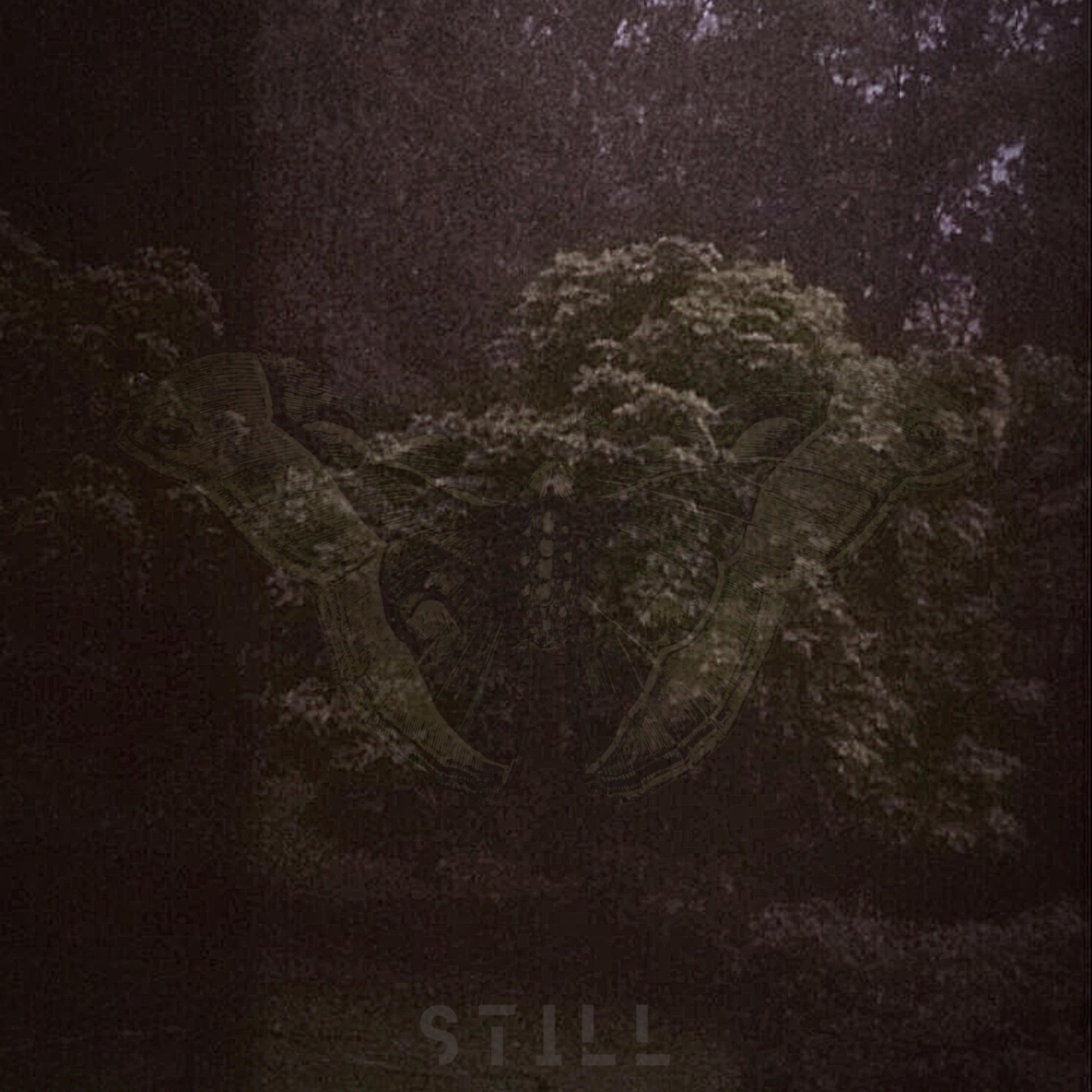 Still