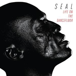 Seal - Life On The Dancefloor (Instrumental) 无和声伴奏