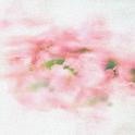 春见你专辑