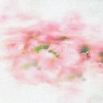 春见你专辑