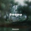 Swamp（Original Mix）