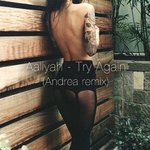 Try Again [Andrea Remix] - Single专辑