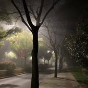 柏林的一场雾