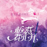 板蓝花儿开[伴奏加口哨]