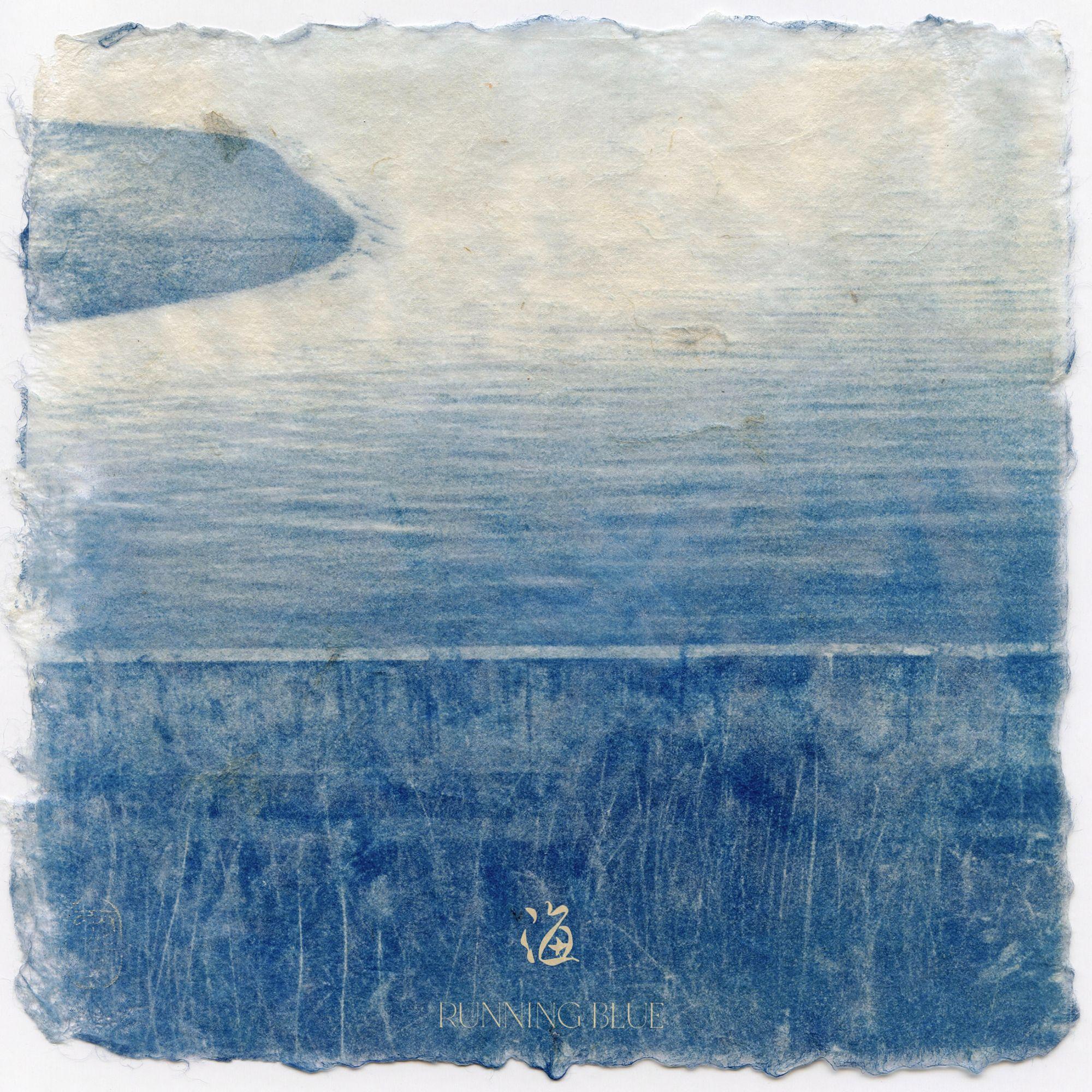 海