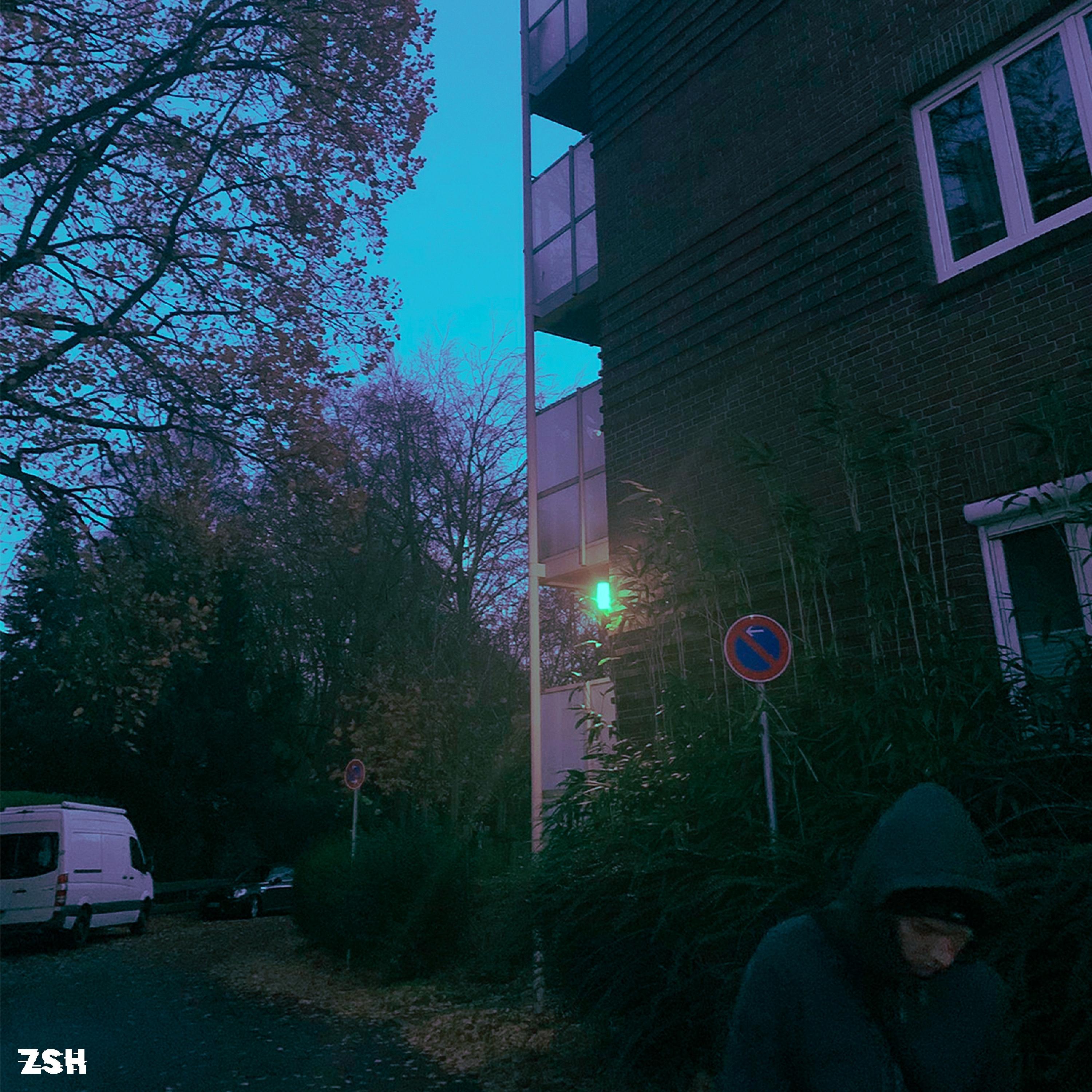 ZSH
