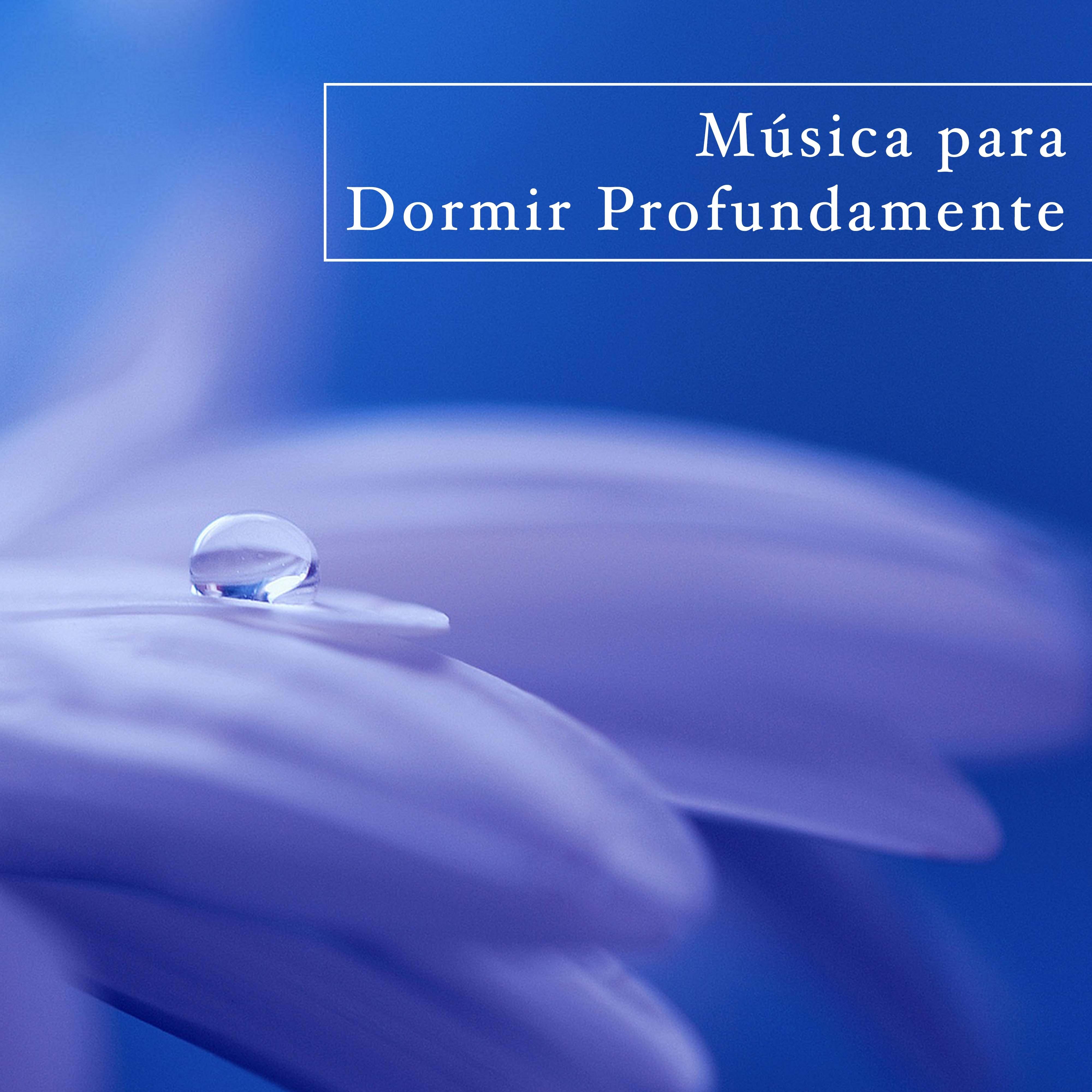 Musica de Relajación Academy