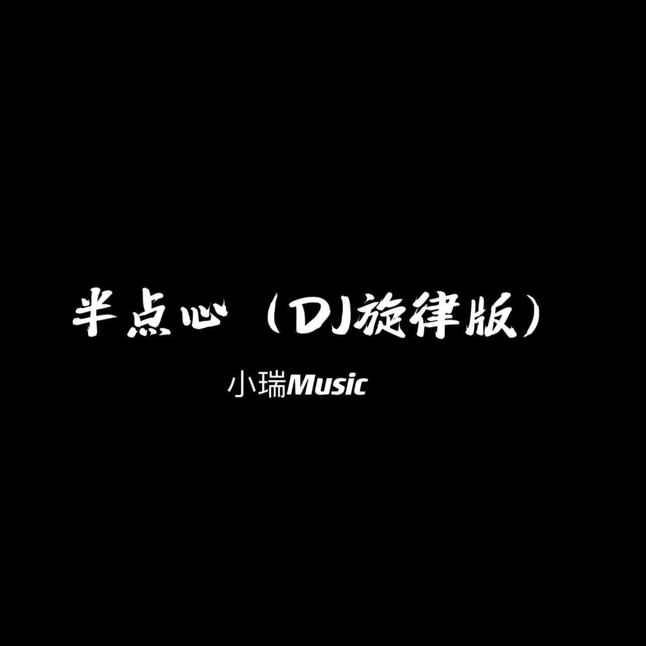 半点心（DJ旋律版）