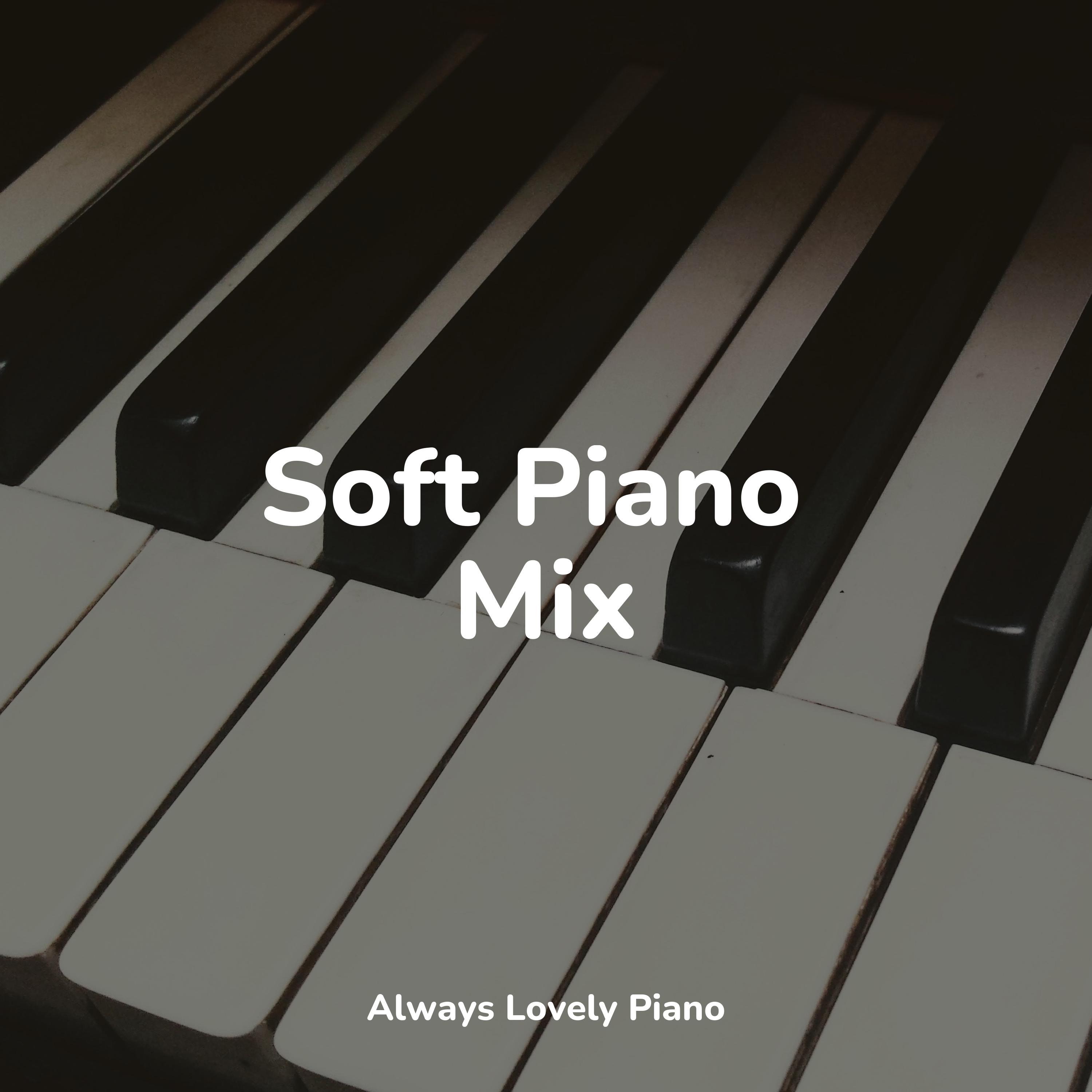 Soft Piano Mix - Classical Piano Academy - 专辑 - 网易云音乐