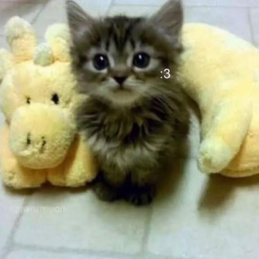 "孤独恐惧" sadpiano x samplevocal x 痛苦旋律伴奏