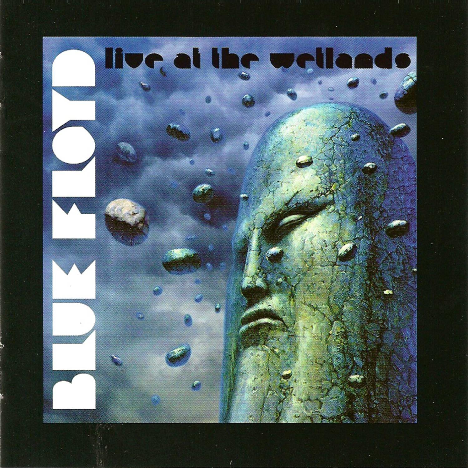Live At The Wetlands
