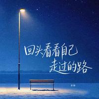 田园 - 回头看看自己走过的路 (DJ版伴奏)