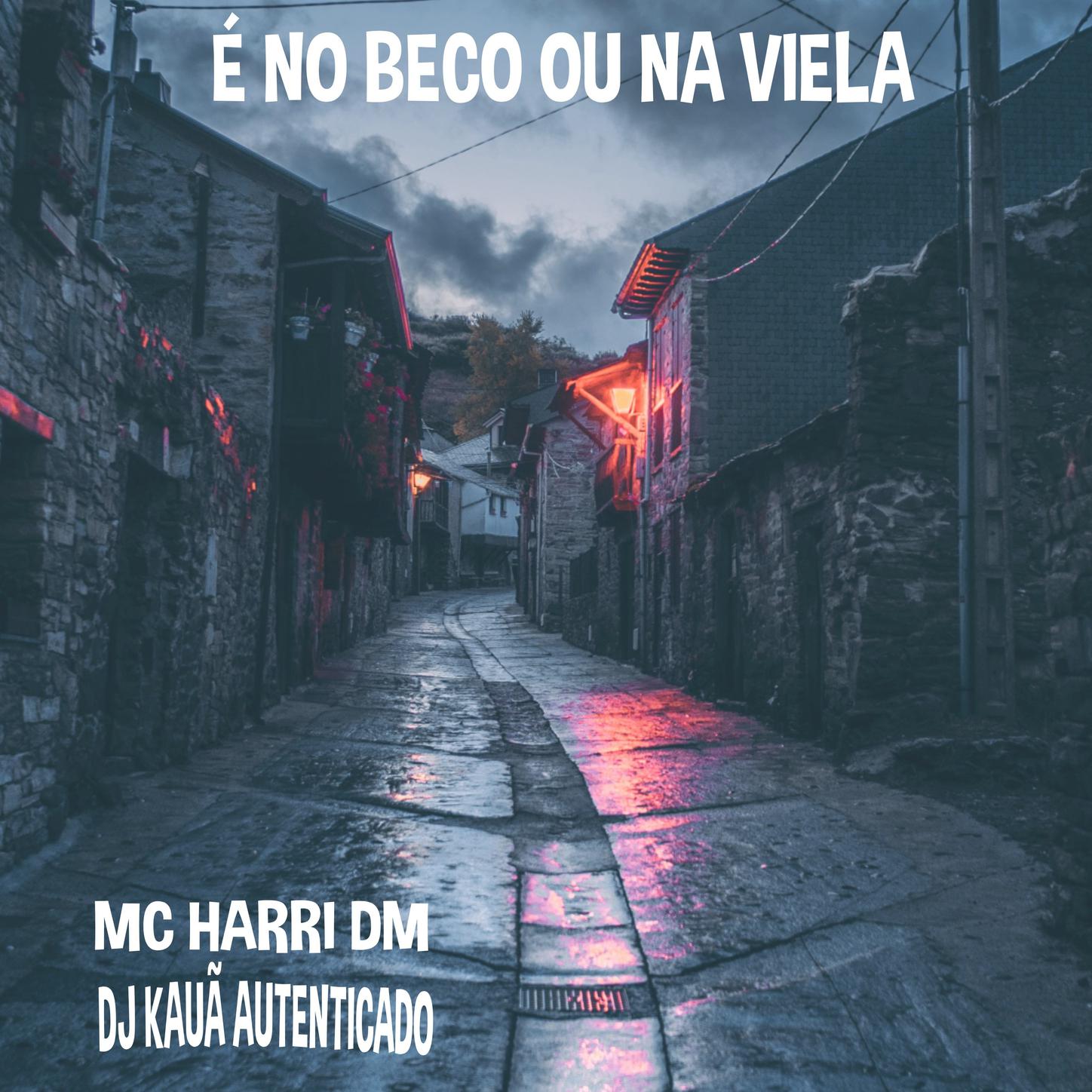 Dj Kauã Autenticado - É NO BECO OU NA VIELA