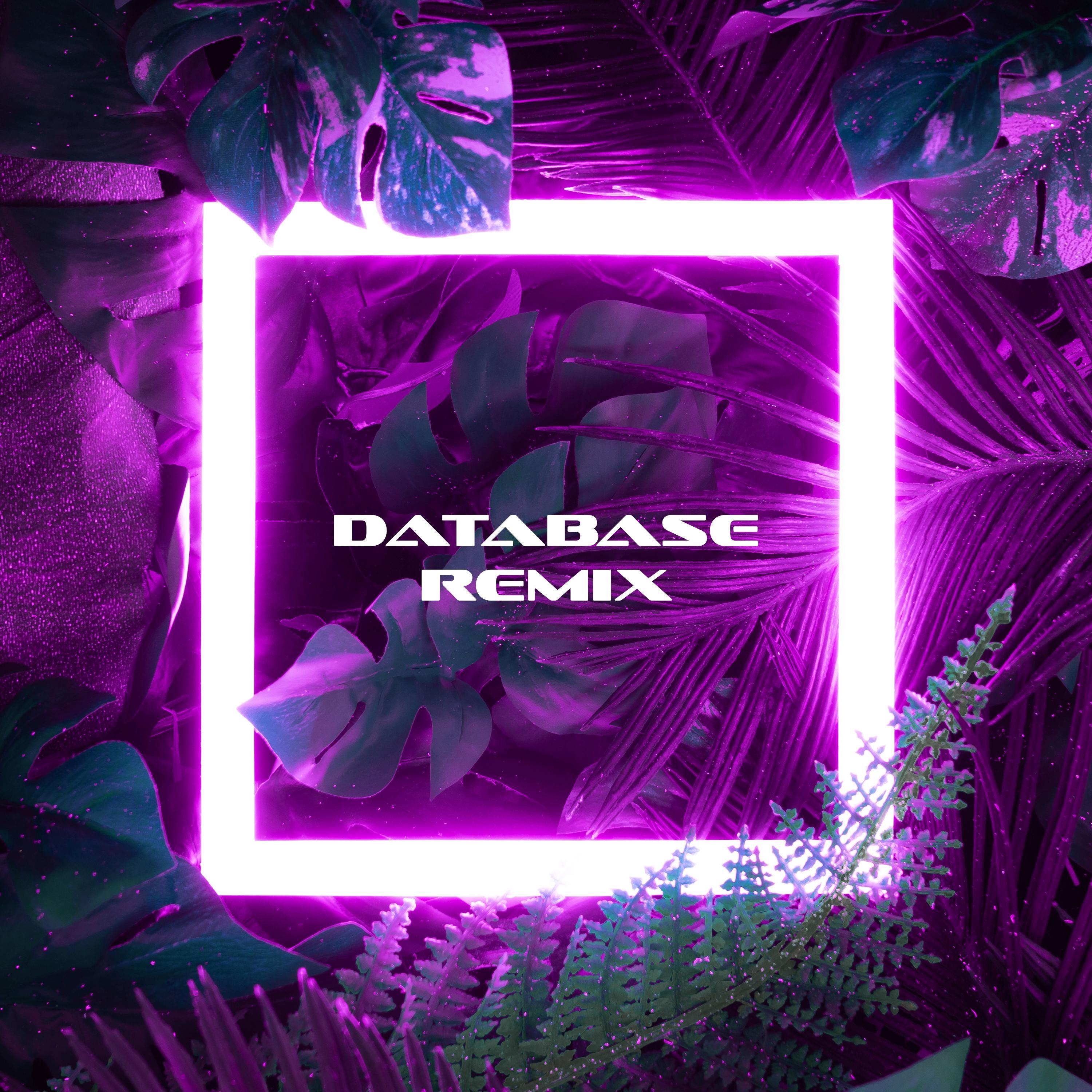 Vamo La (Database Remix)