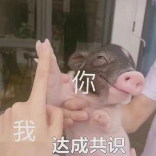 五味杂陈的网易