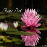 Flower Road专辑