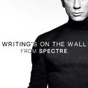 Writing's on the Wall (From "Spectre")专辑