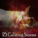 25 Calming Storms专辑