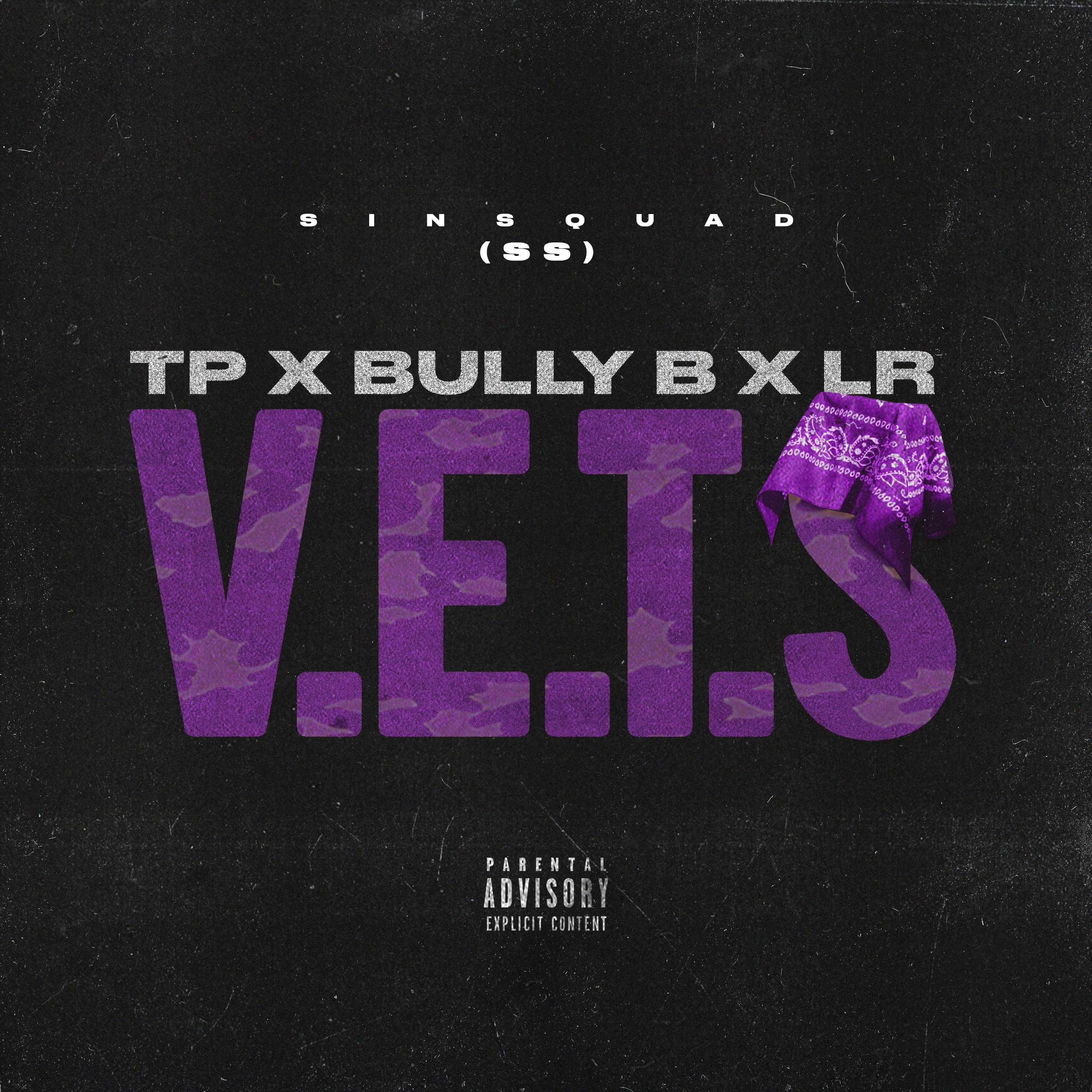 V.E.T.S