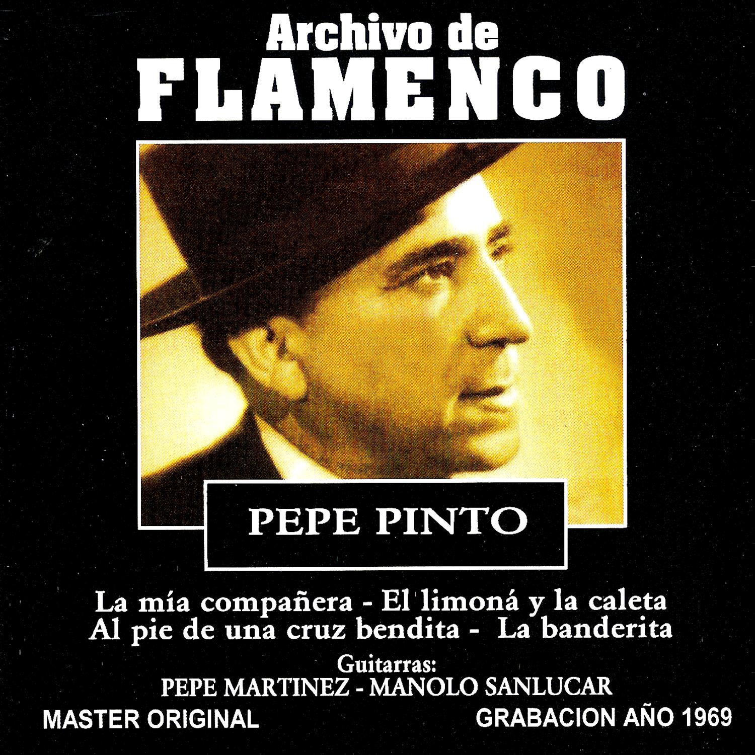 Archivo De Flamenco Vol.9 (Pepe Pinto)