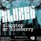 Slugstep / Mr. Blueberry专辑