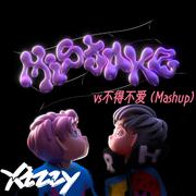 TOYOKI,Capper-MISTAKE VS 不得不爱(Xizzy Mashup)