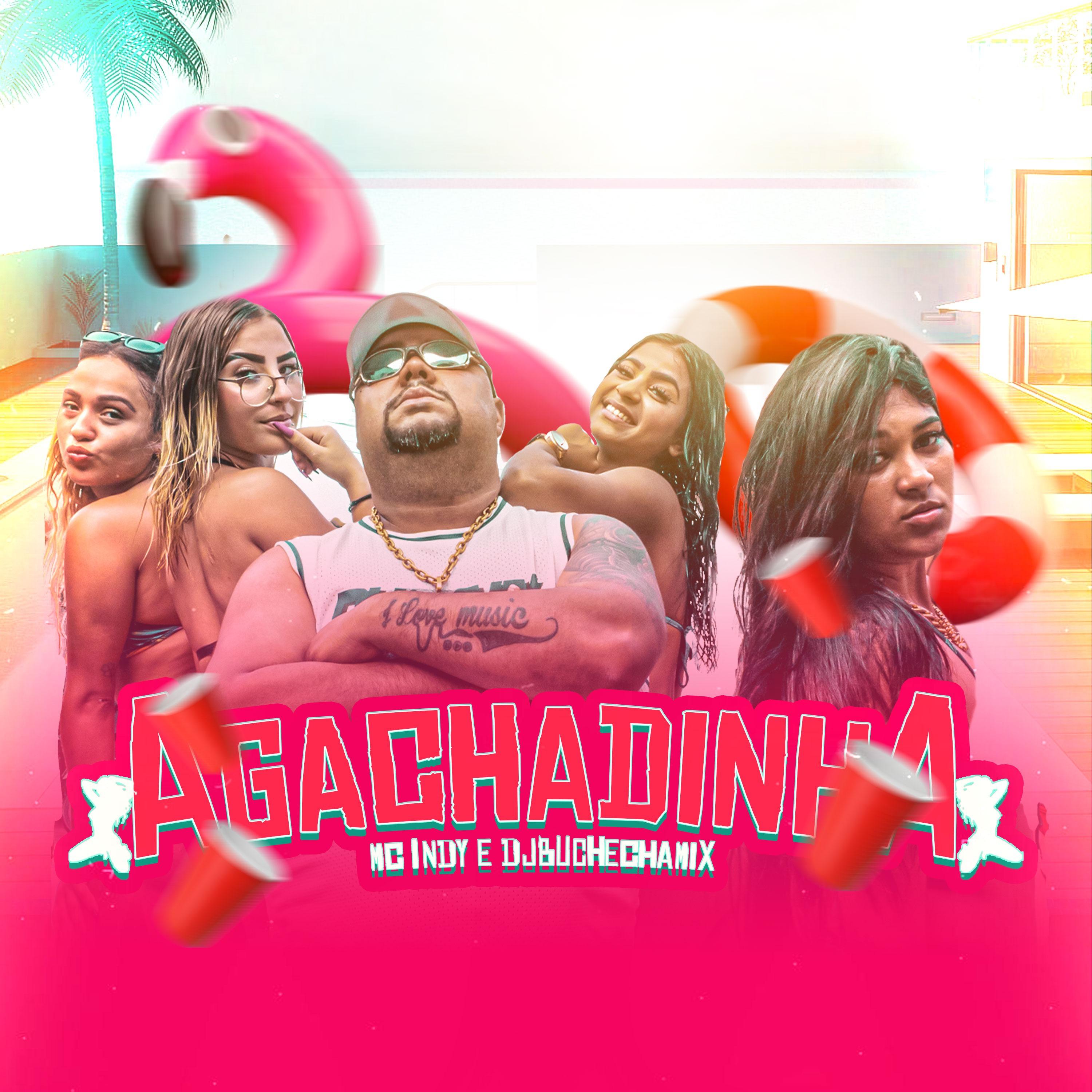 Dj Buchecha Mix - Agachadinha