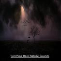 2018 Soothing Rain Sound Nature Sounds专辑