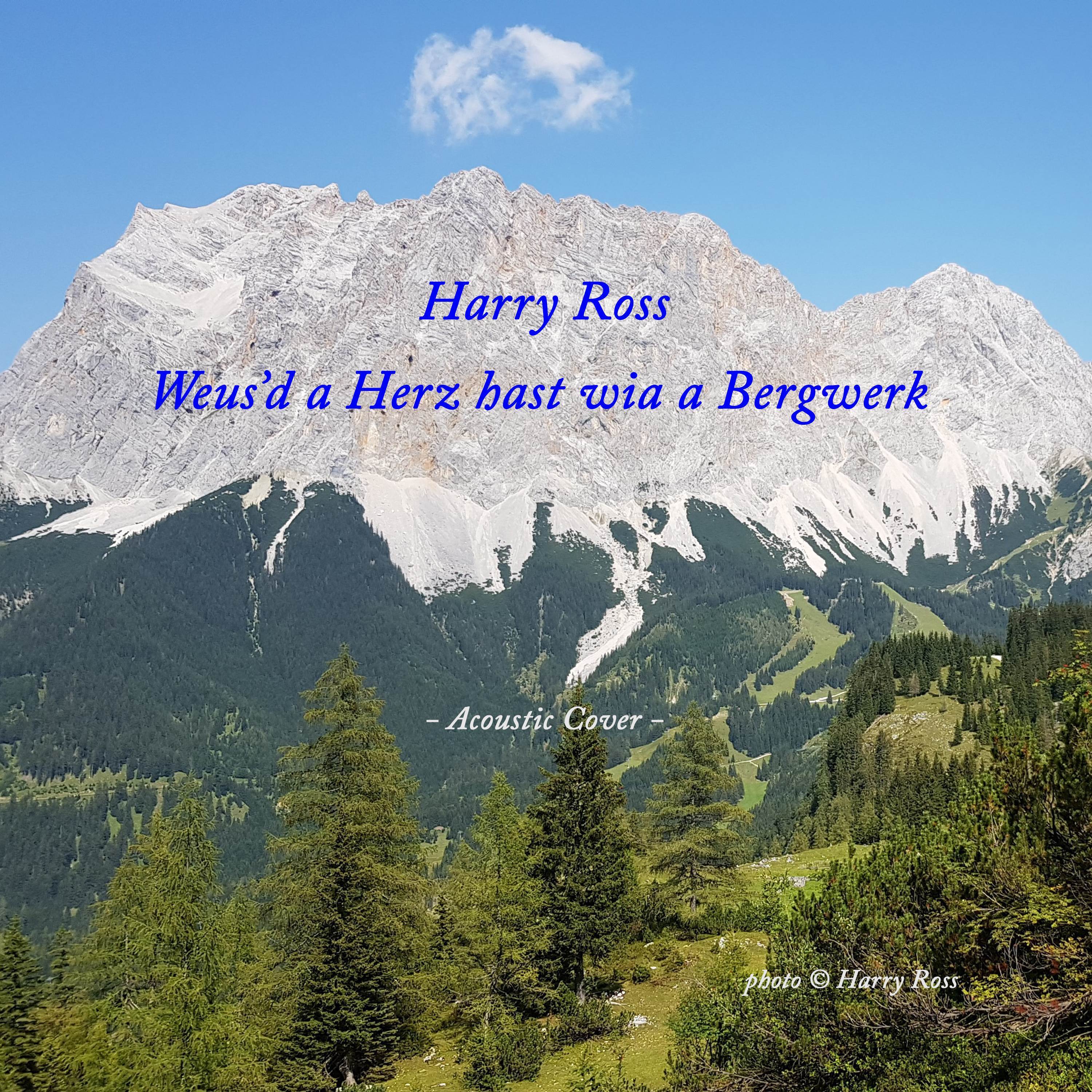 Weus'd a Herz hast wia a Bergwerk (Acoustic Cover)
