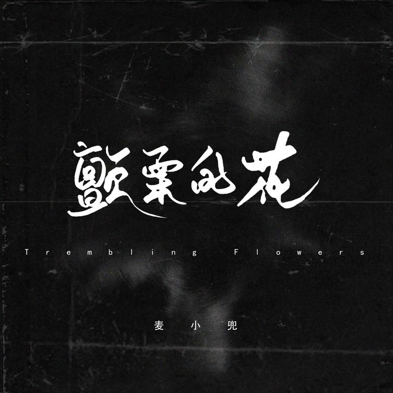 麦小兜歌曲封面