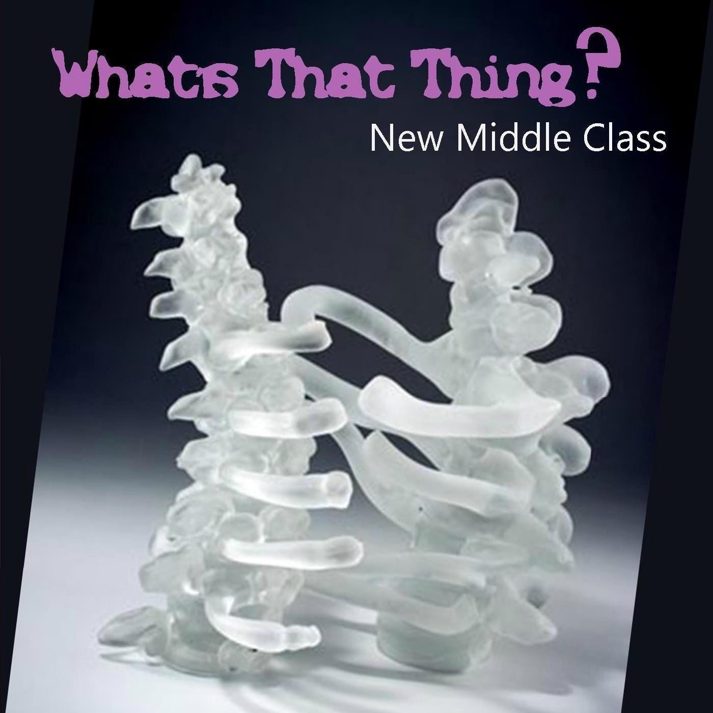 What's That Thing?