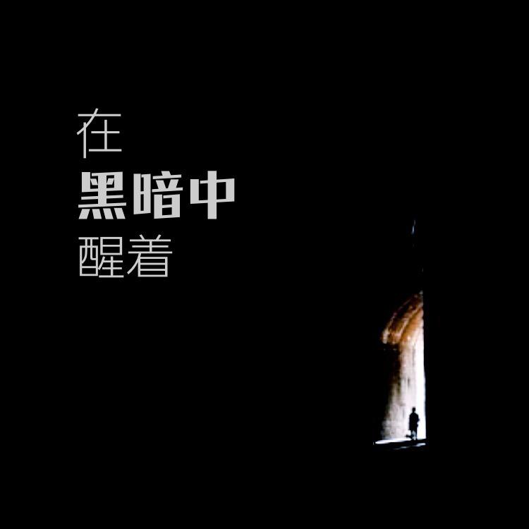 他在黑暗中醒着（beat by Nino）专辑