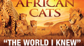 The World I Knew (From Disneynature African Cats)专辑