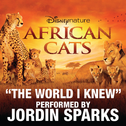 The World I Knew (From Disneynature African Cats)专辑