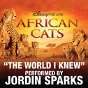 The World I Knew (From Disneynature African Cats)