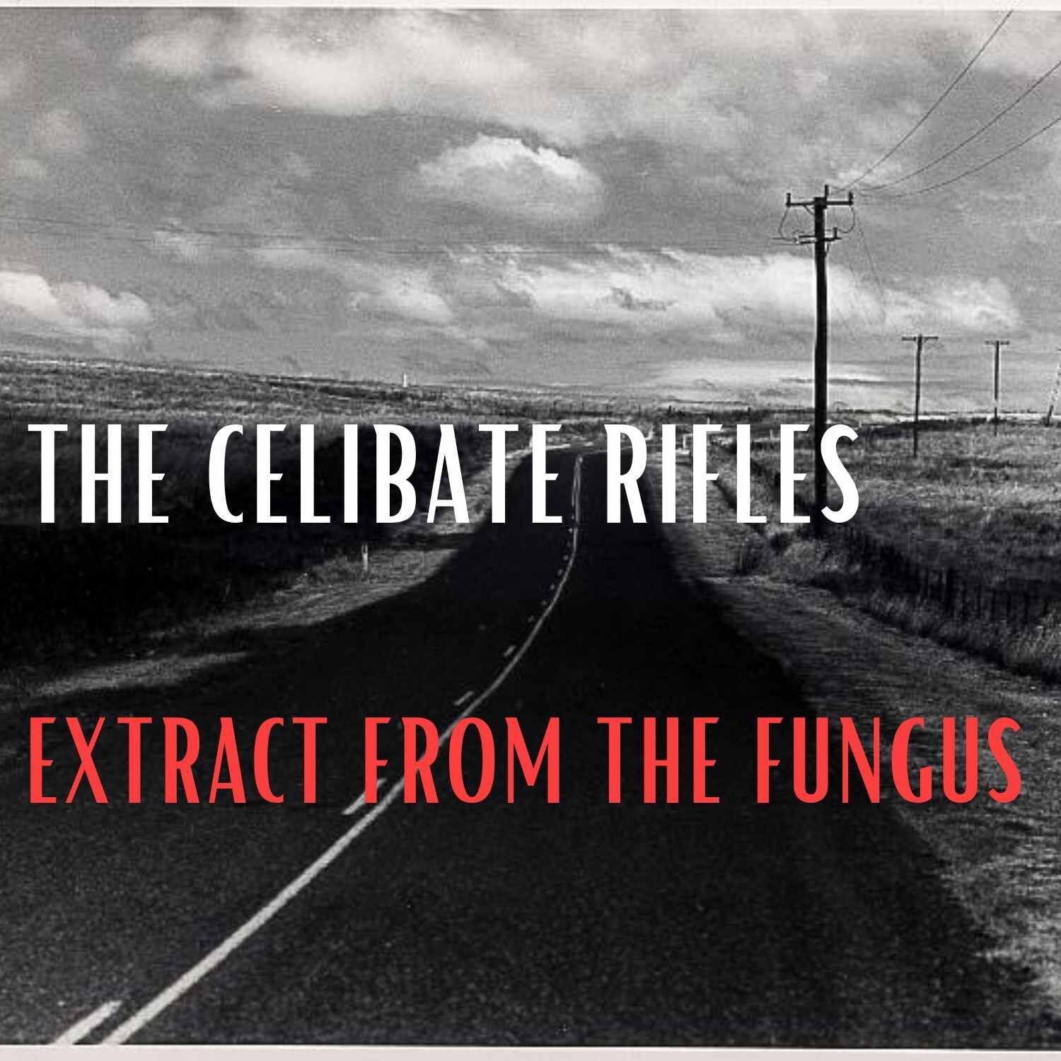 Extract from the Fungus