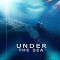 under the sea