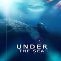 under the sea专辑